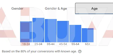 9× ROAS Google Ads Search Sales Campaign — Jordan (age breakdown)