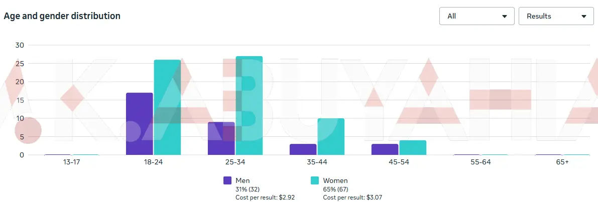 23× ROAS Meta Ads Sales Campaign — Jordan (audience demographics)