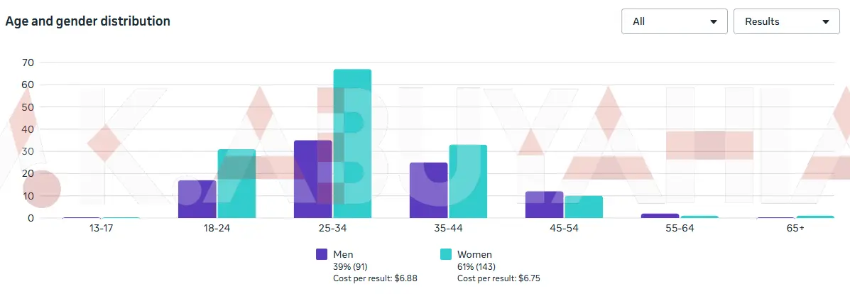 27× ROAS Meta Ads Sales Campaign — Jordan (audience demographics)