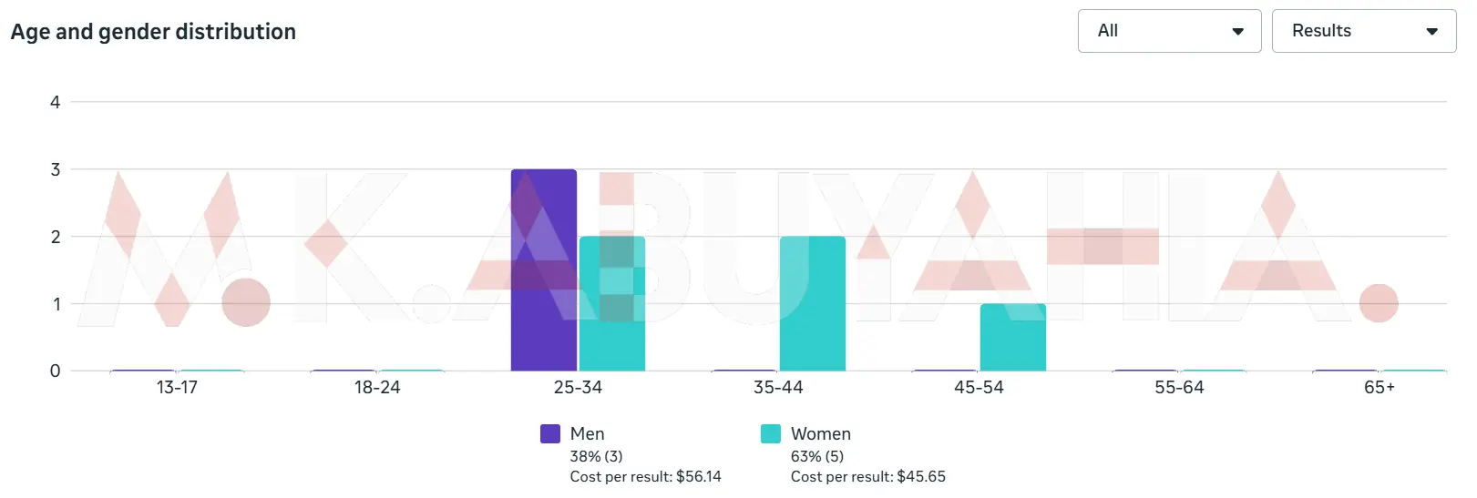 28× ROAS Meta Ads High-End Sales Campaign — Jordan (audience demographics)