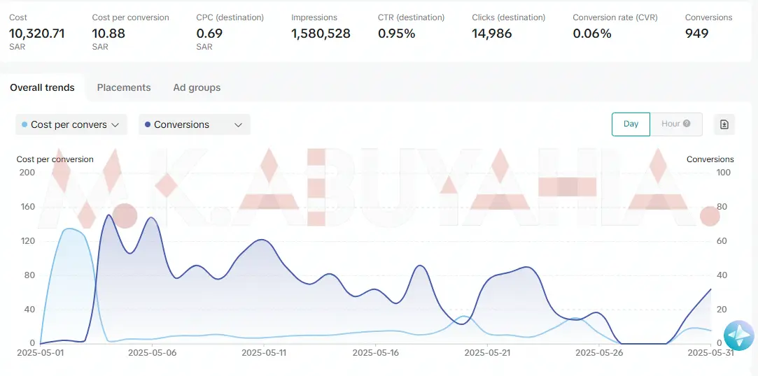 4.89× ROAS TikTok Ads Sales Campaign — Saudi Arabia (campaign breakdown: 949 conversions, 10.88 SAR cost per conversion, May 2025)