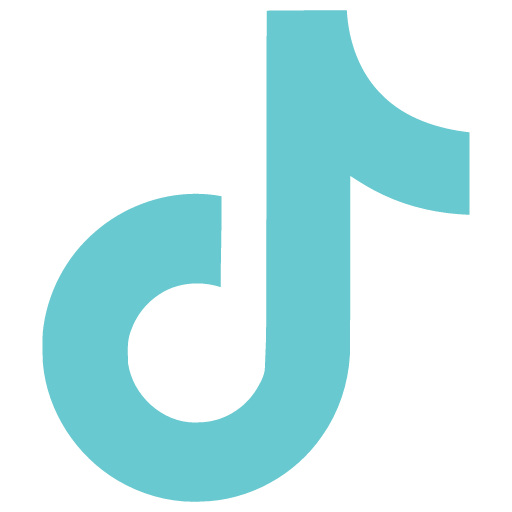 TikTok Ads